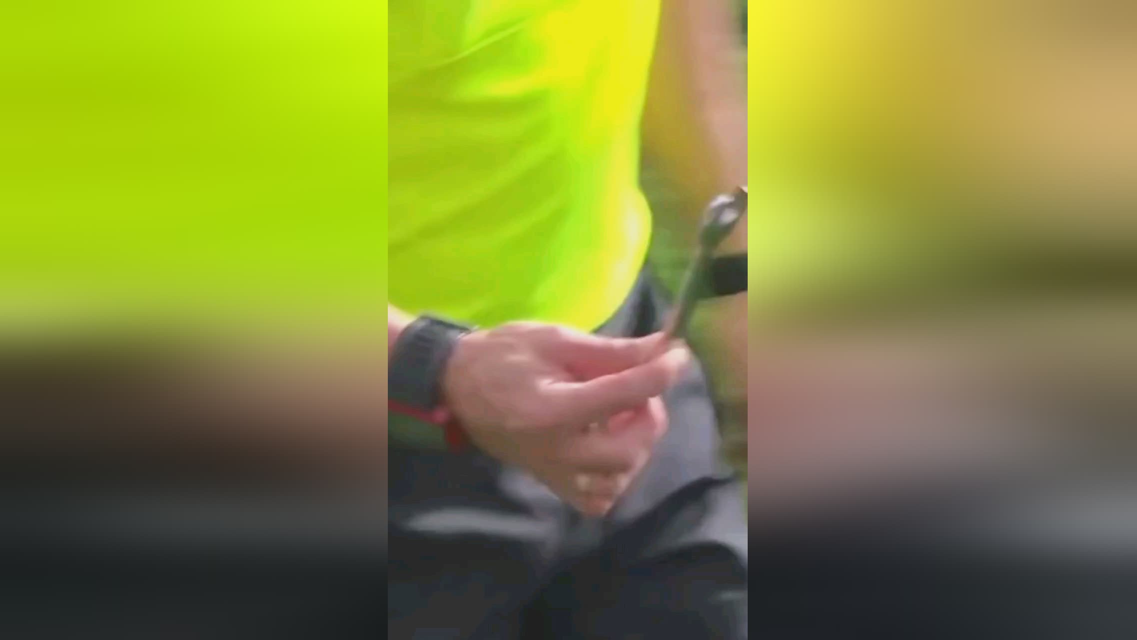 隊的